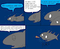 Shark Food