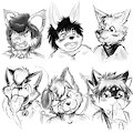 Charcoal practice by DakkaWoof