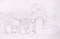 Comfort
