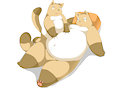 Dad stomach