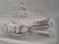 Scarlet the echidna by Life456