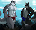 Double the trouble by nh63879