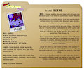 Character Bio: Plum