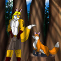 A Meet In The Woods