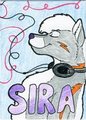 Sira conbadge