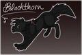 BlackThorn Quick Sketch by SilverWolfSpirit3