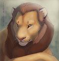 LionStas
