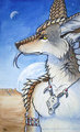 Desert Traveler by Myenia
