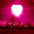 Evening of love by Zanerus