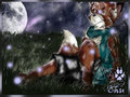 Staring at Stars...Stars Hunter  by AcidFoxArtz