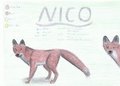 Charsheet Nico by Nicofuchs