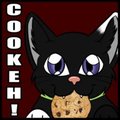 Nick2Shy Icon