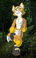Fox McCloud