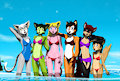 Canidae-Felidae Surf