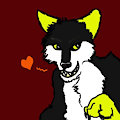 X the Wolf