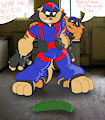 Swat Kats