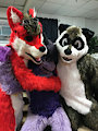 Pride Center Fur Meet