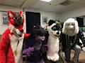 Another Group Photo by RollerCoasterViper59