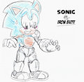 Sonic in the Iron Butt