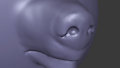 nose sculpt old