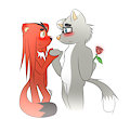 a rose for you by jefryx111