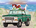 Brittany's Bronco by Roushfan