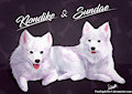 Klondike & Sundae
