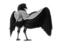 Wings by RevenantWairu