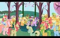 How Many Pony can you count