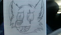 Sketch