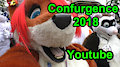 Confurgence 2018 con video
