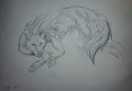 Wolf sketch lounging
