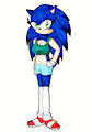 Sonica the hedgehog lady by JessyHarinezumi