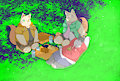 picnic