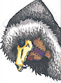Skull hoodie