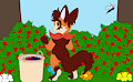 #82 - Minky coletando amoras