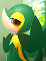 Snivy’s day
