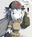 Medic Kibbles