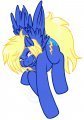 10$ Pony 5 