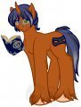 10$ Pony 7 