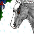 Xmas Apples by Emira