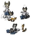 Loose Raccoonification Ferret by Virmir