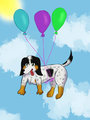 Balloon Riding