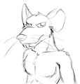 Stream sketches