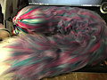 yanr tail for sale by Shines