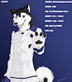 #10 Husky