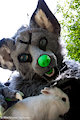 Wolf with food by Wachhund