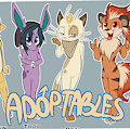 *A*_Pokebois by Fuf