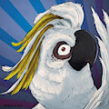 Pretty Birdy
