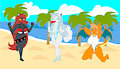 A good day in the Poke beach